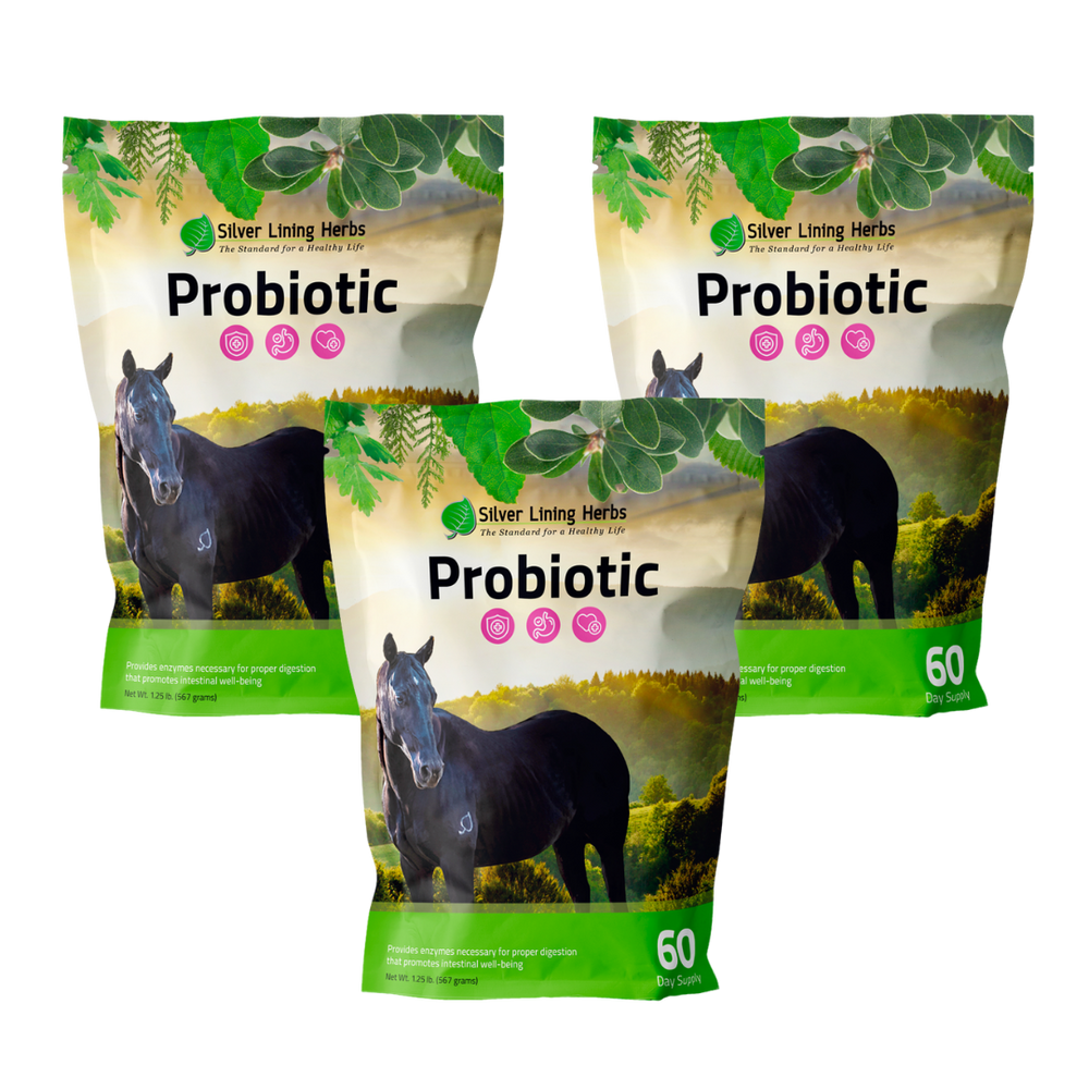 Silver Lining Herbs Horse Probiotics