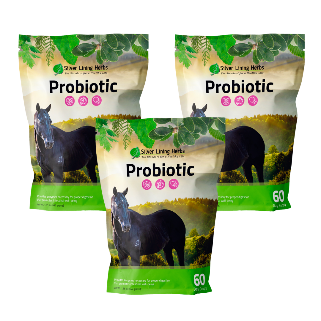 Silver Lining Herbs Horse Probiotics