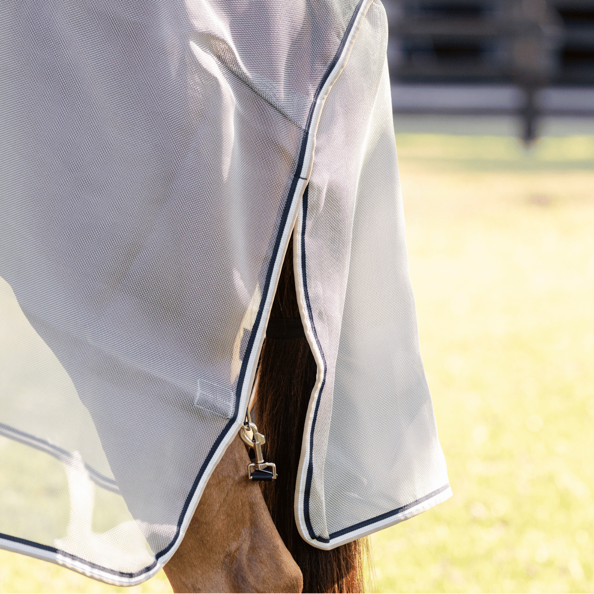 Rambo Protector Fly Sheet with Fly Spray BOGO