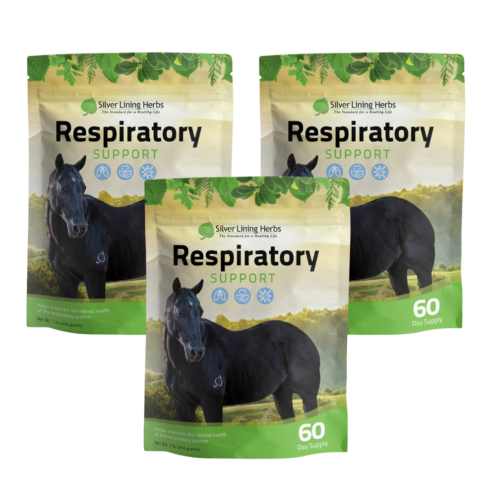 Silver Lining Herbs Respiratory Support for Horses
