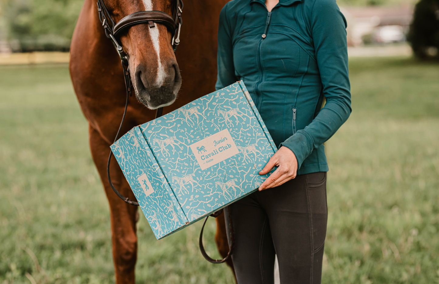 Mystery Cavali Club Box