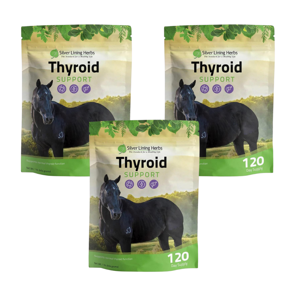 Silver Lining Herbs Thyroid Support for Horses