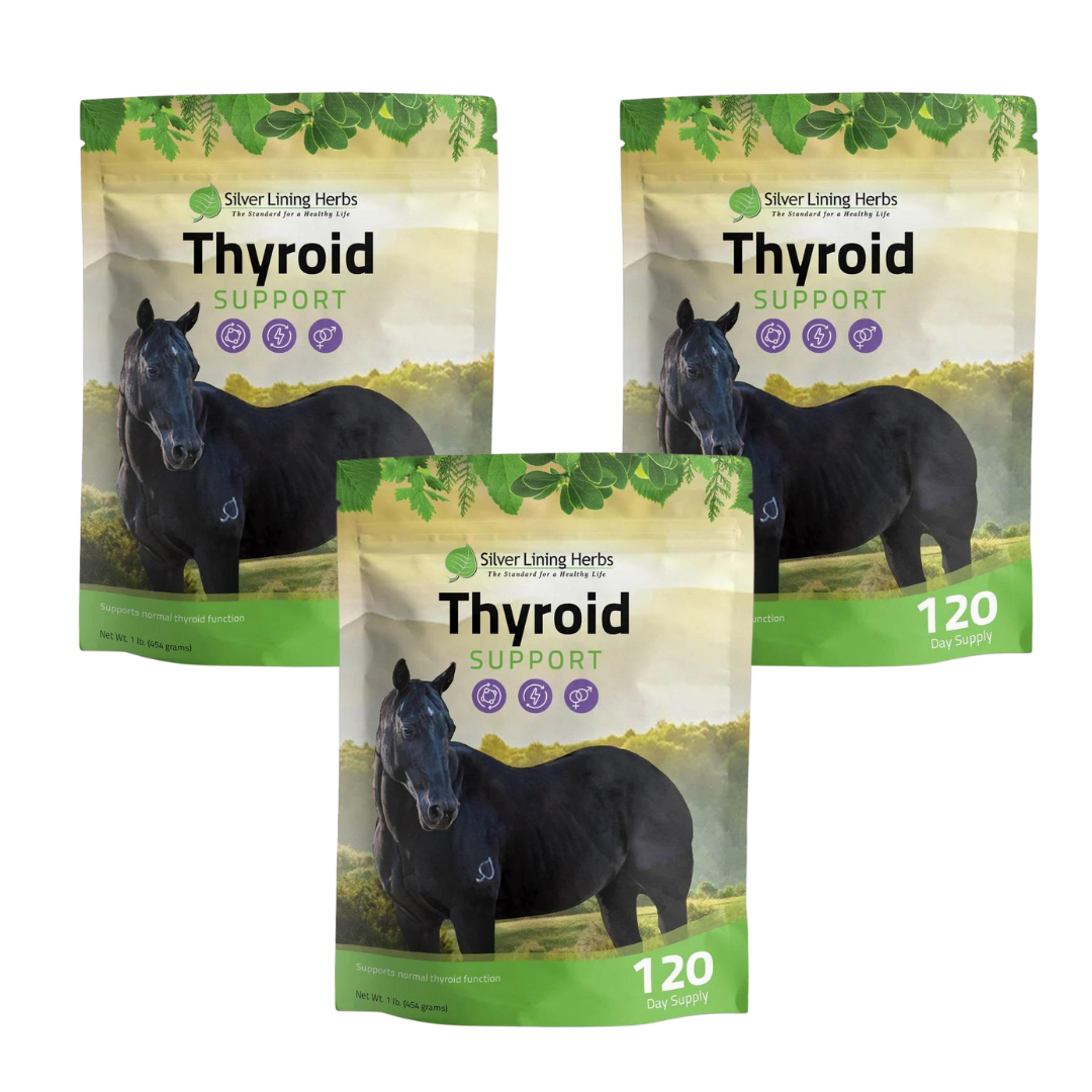 Silver Lining Herbs Thyroid Support for Horses