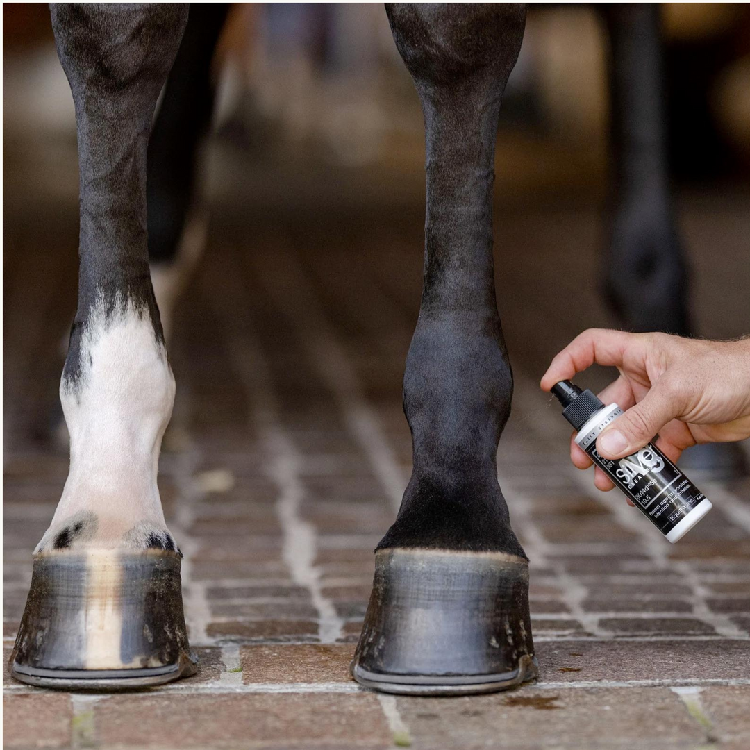 EquiFit AgSilver Daily Strength CleanSpray