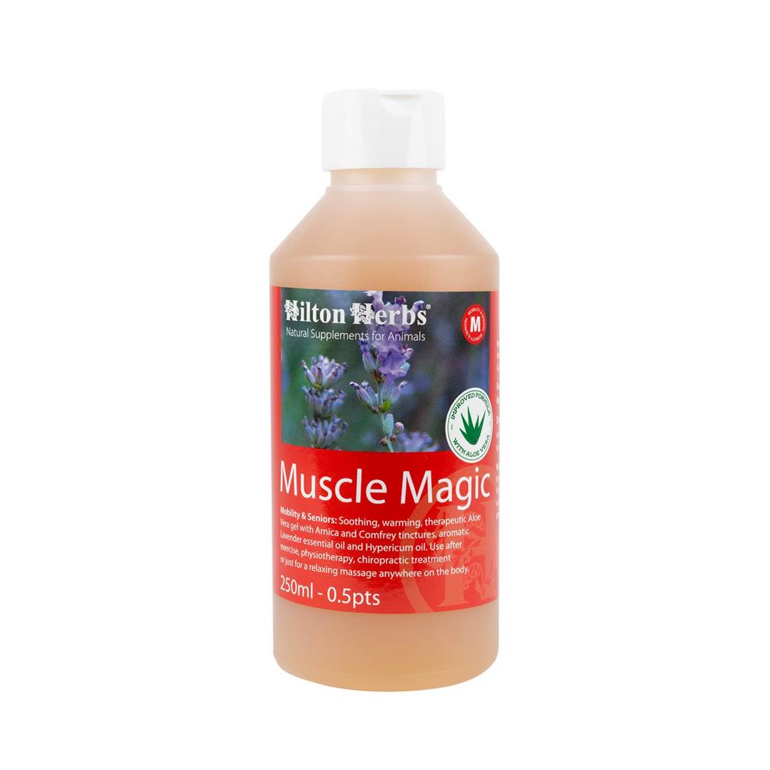 Hilton Herbs Muscle Magic Lotion