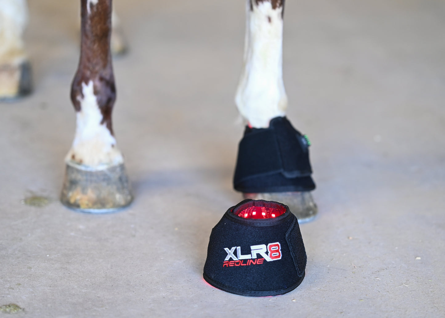 XLR8 Equine Redline Bell Boot - Single