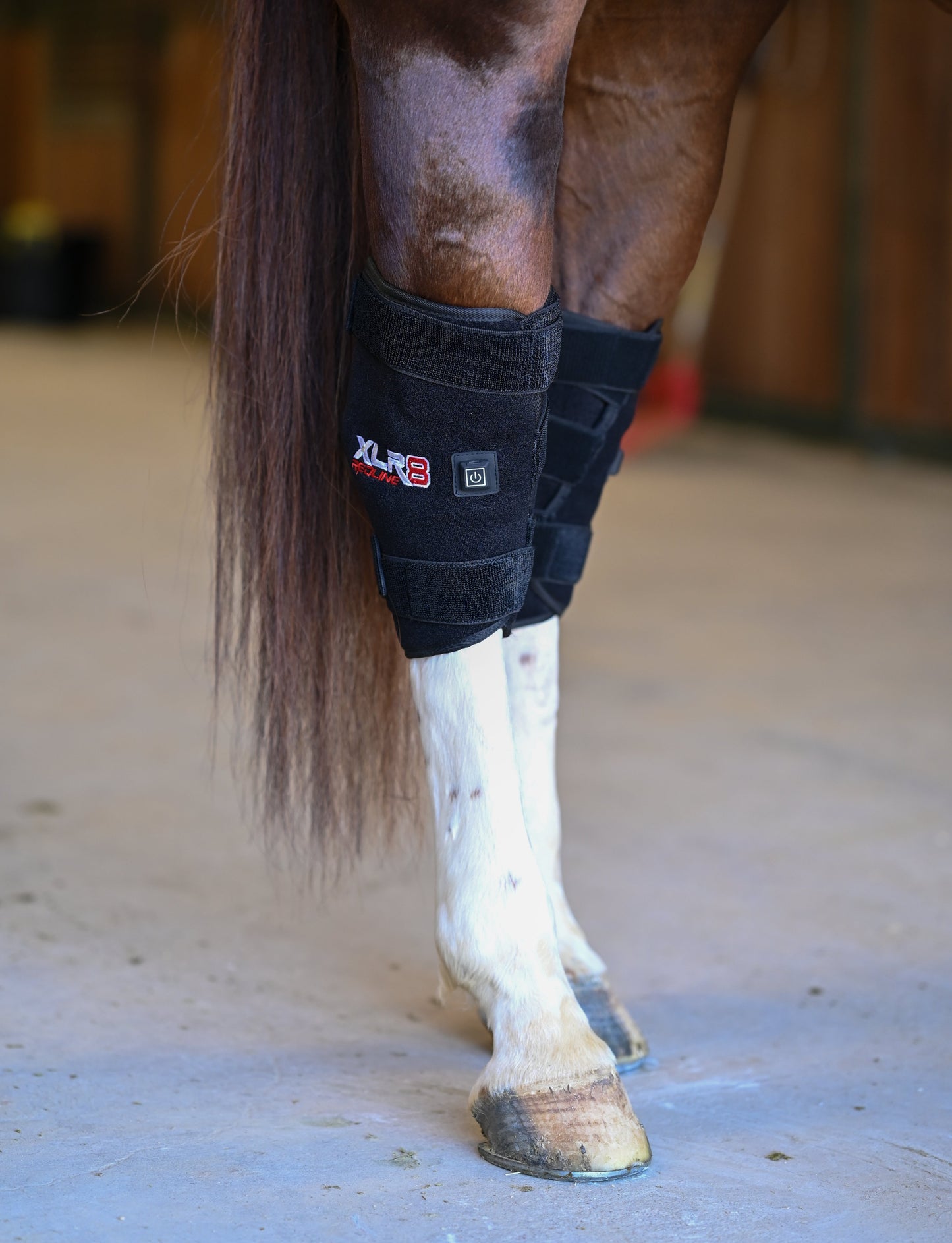 XLR8 Equine Redline Hock Boot - Pair