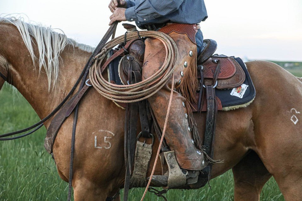 All - Around Rancher: Close Contact 1" Saddle Pad - Corro