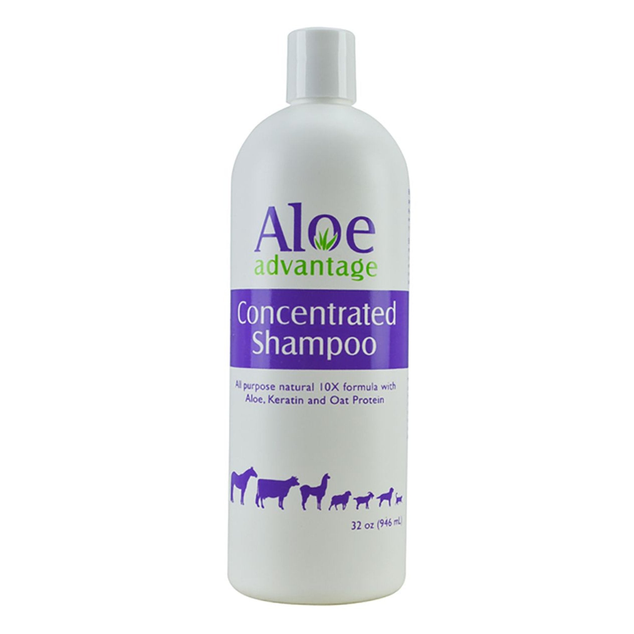 Aloe Advantage Concentrated Shampoo - Corro