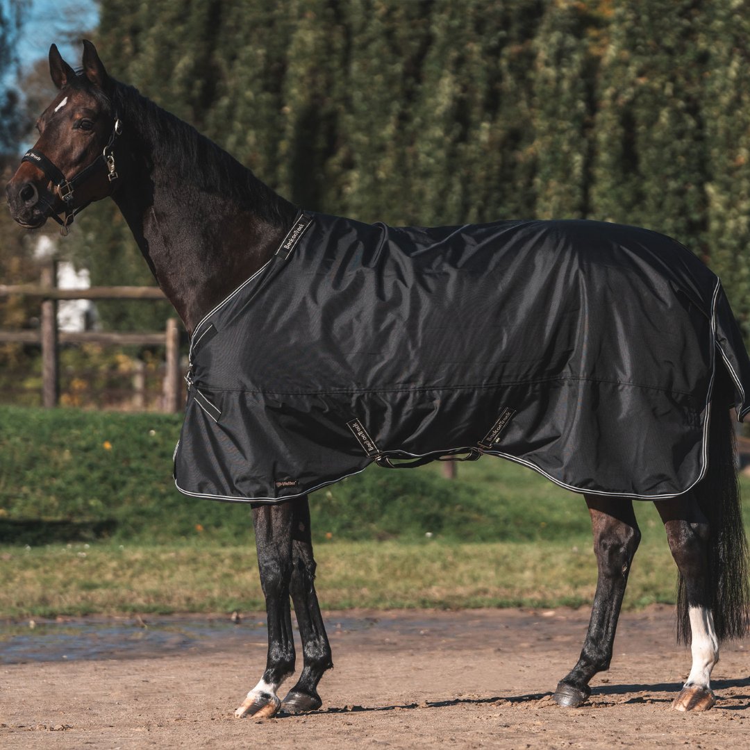 Back On Track Obsidian Turnout Blanket with Neck Cover - Corro