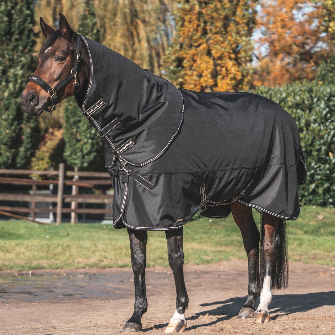 Back On Track Obsidian Turnout Blanket with Neck Cover - Corro