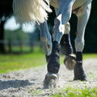 Back on Track Therapeutic Exercise Hind Boots - Corro