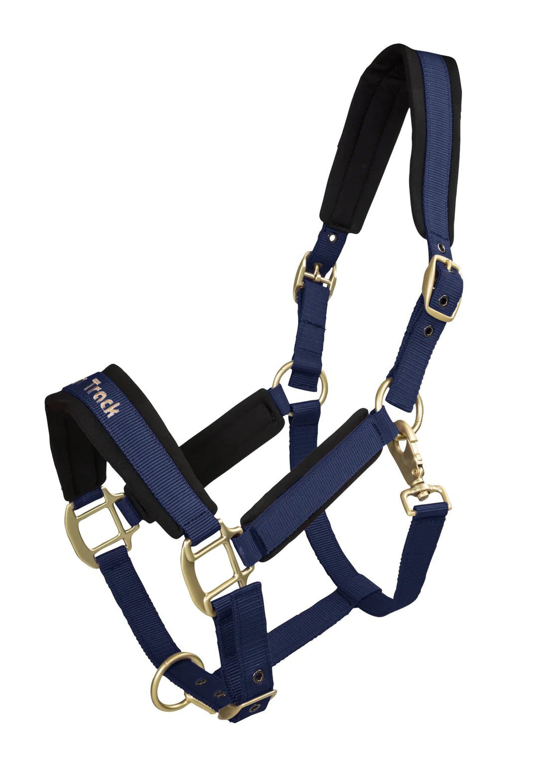 Back on Track Werano Nylon Halter - Corro