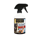 Banixx Horse & Pet Care Antibacterial & Antifungal Spray - Corro