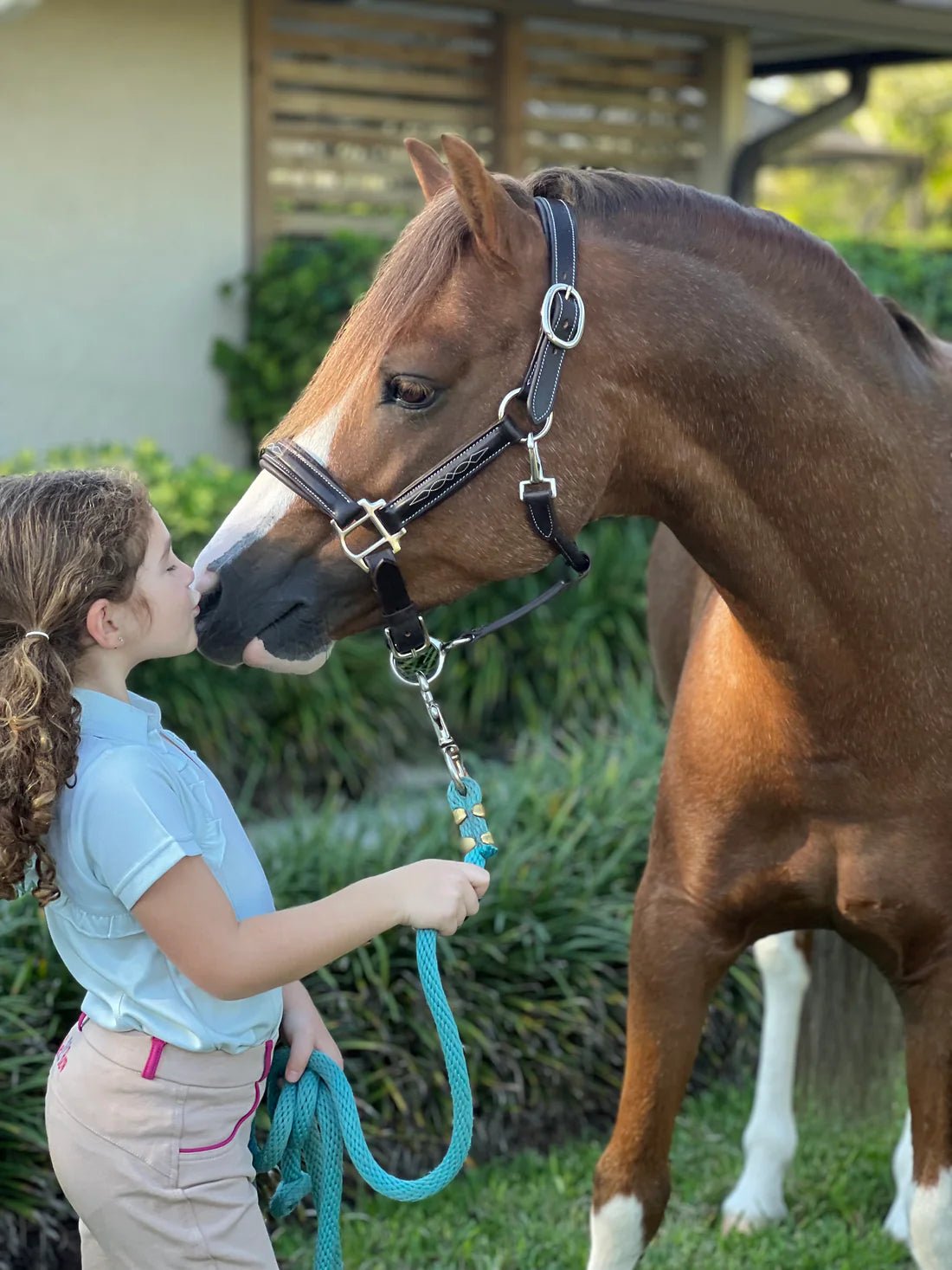 Belle & Bow Equestrian Pony Fancy Stitched Padded Halter - Corro