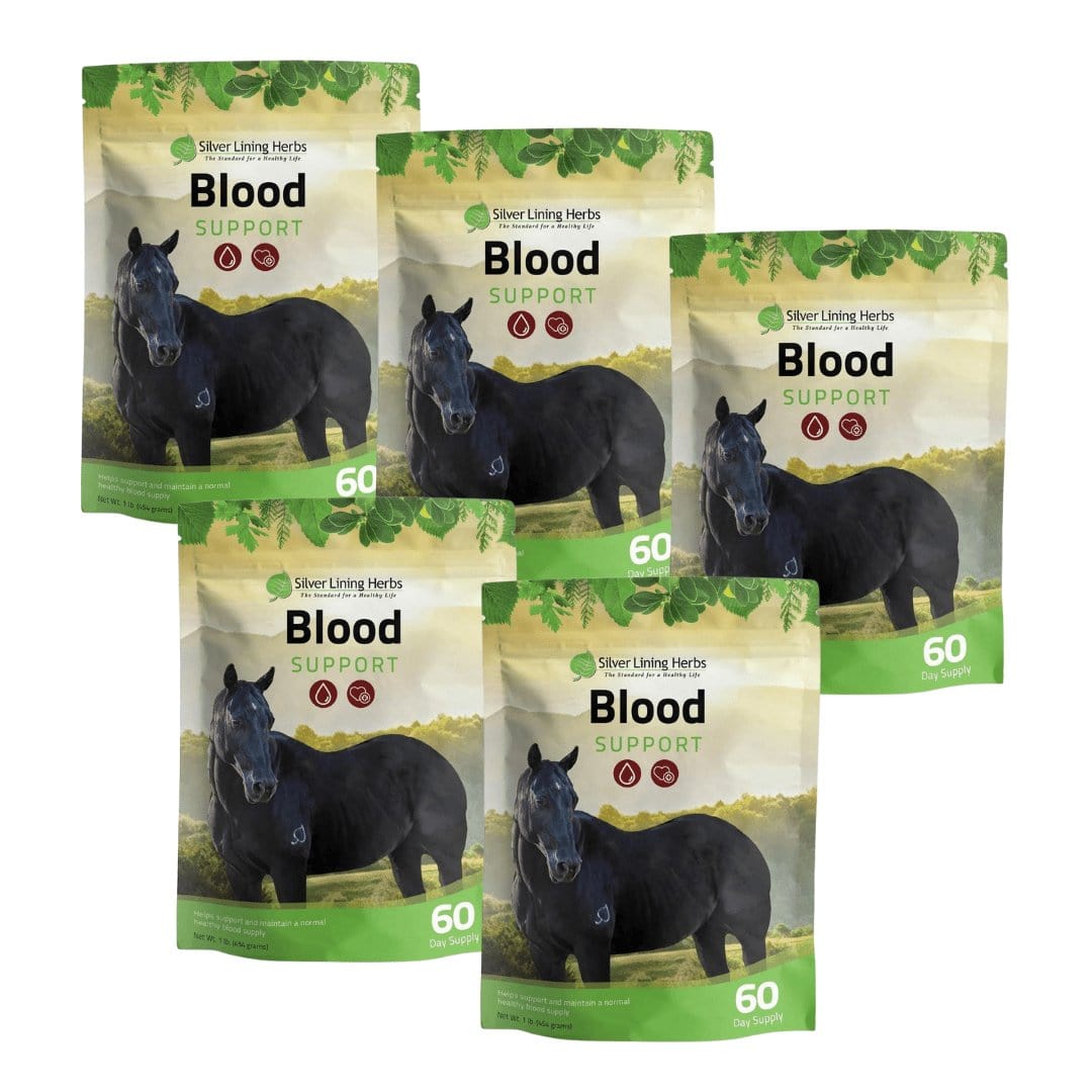 Silver Lining Herbs Blood Support for Horses