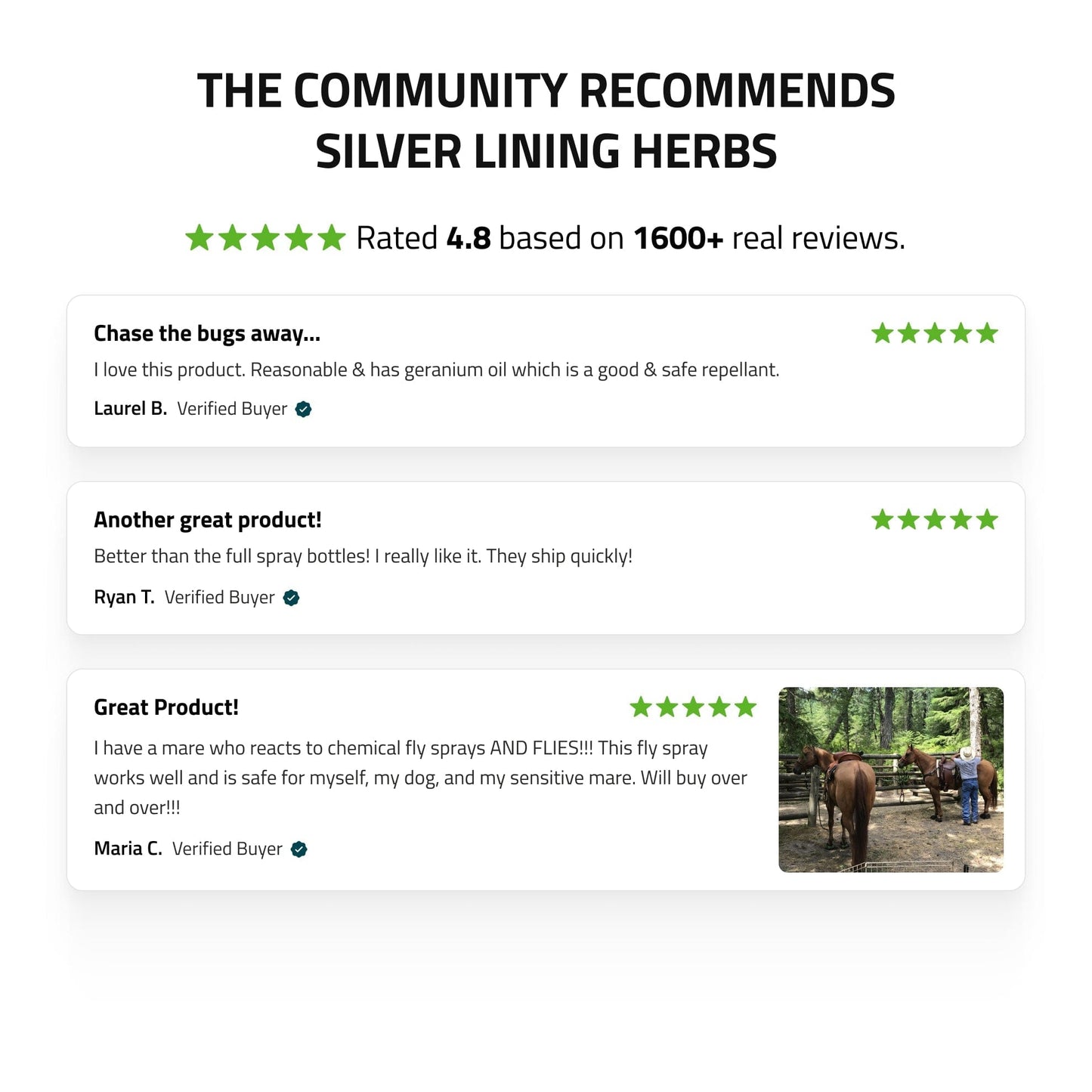 Silver Lining Herbs Bug Repel