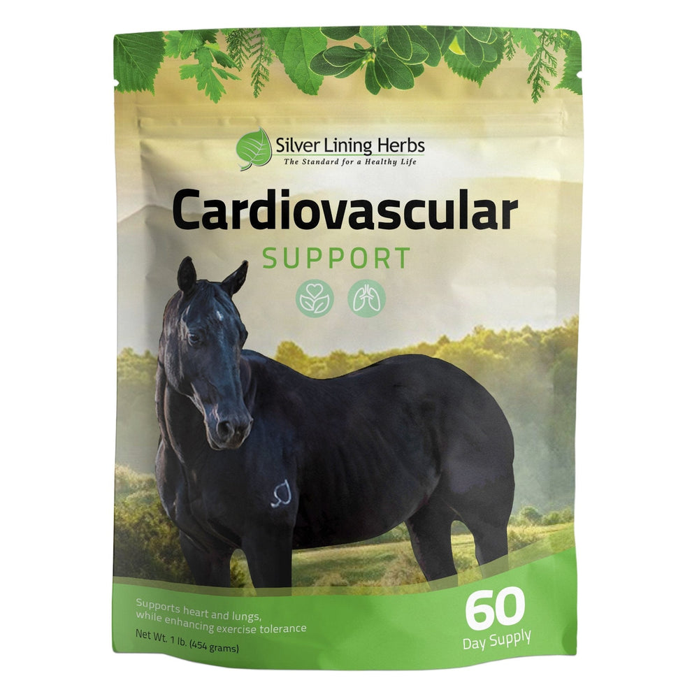 Silver Lining Herbs Cardiovascular Support for Horses