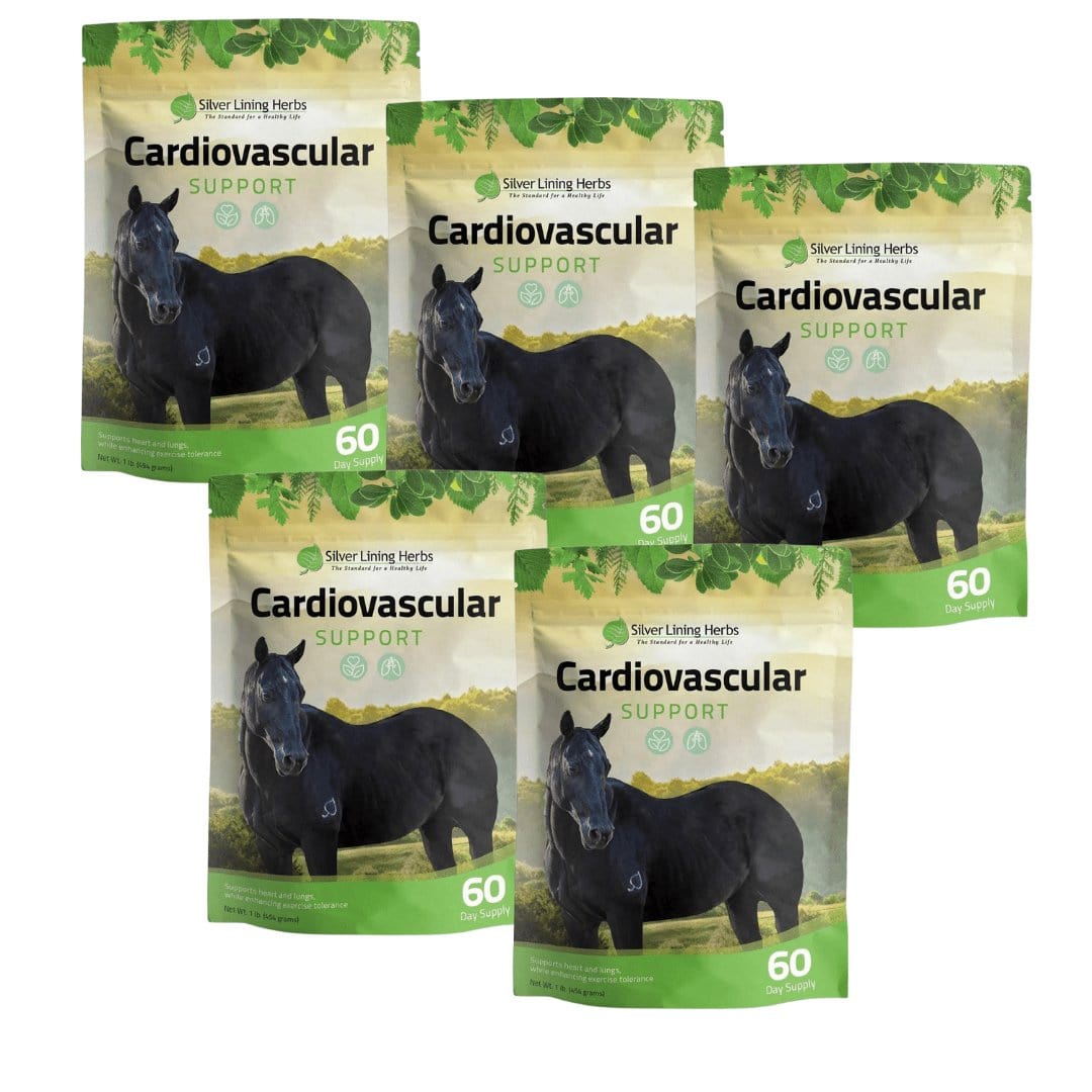 Silver Lining Herbs Cardiovascular Support for Horses