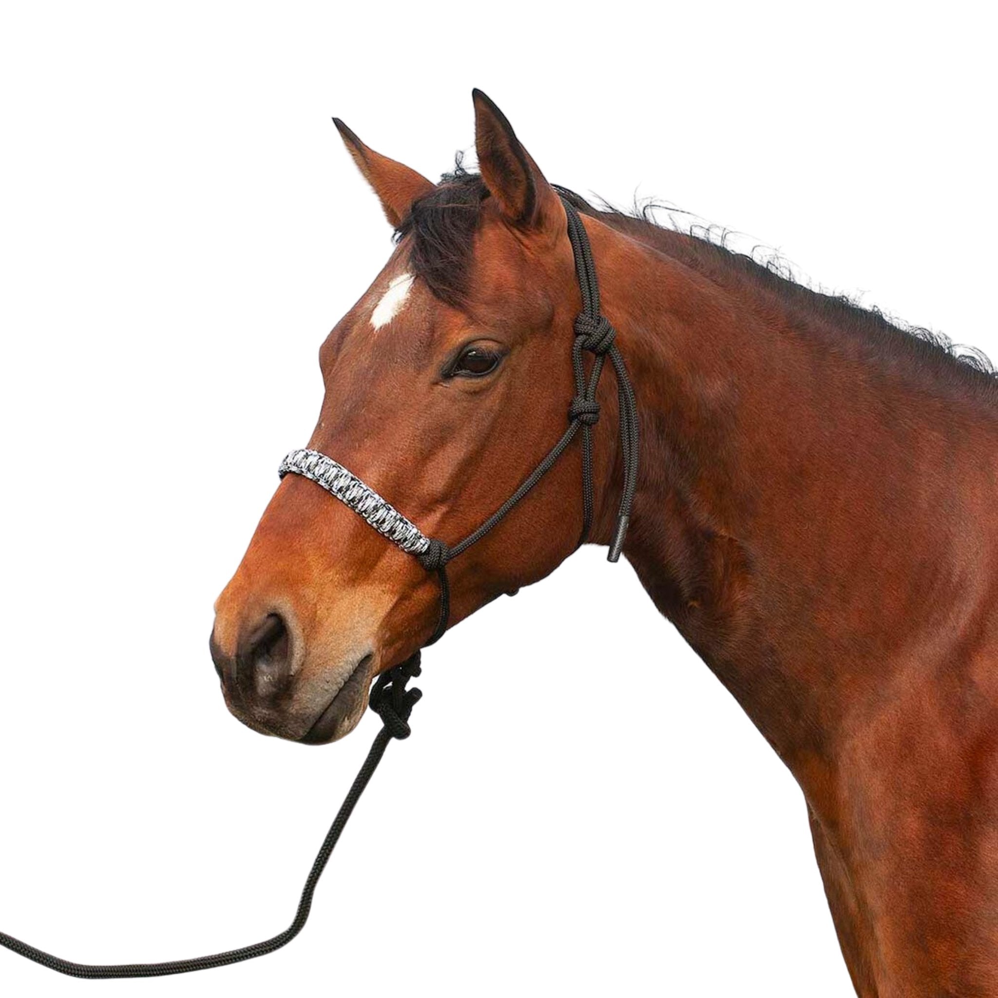 Cashel Braided Nose Rope Halter with Lead - Corro