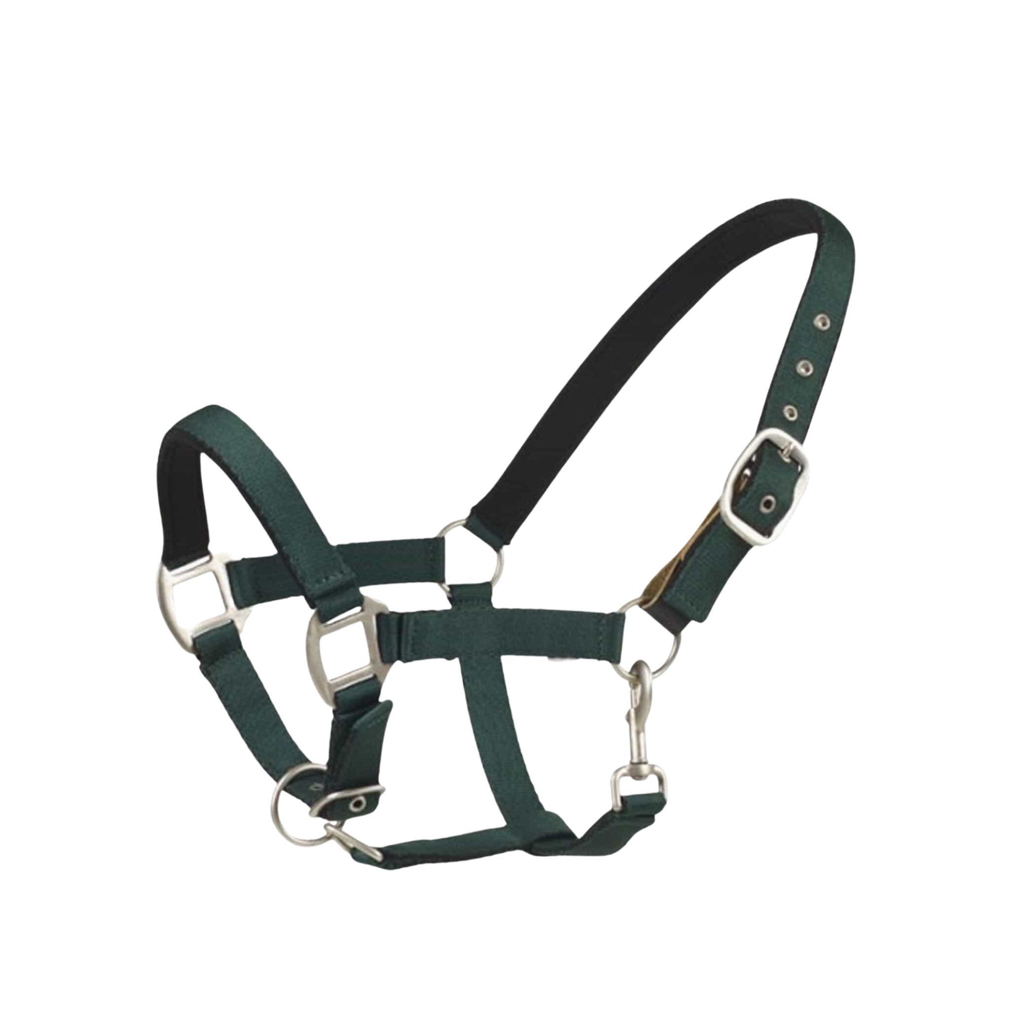 Centaur Cushion Web Breakaway Halter - Corro