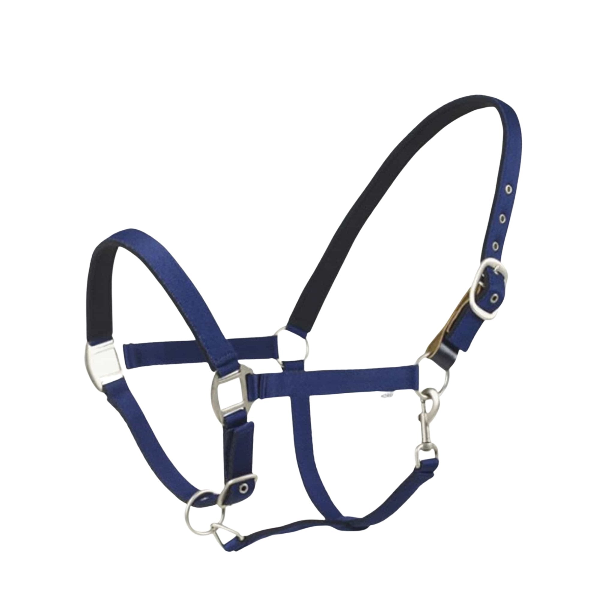 Centaur Cushion Web Breakaway Halter - Corro