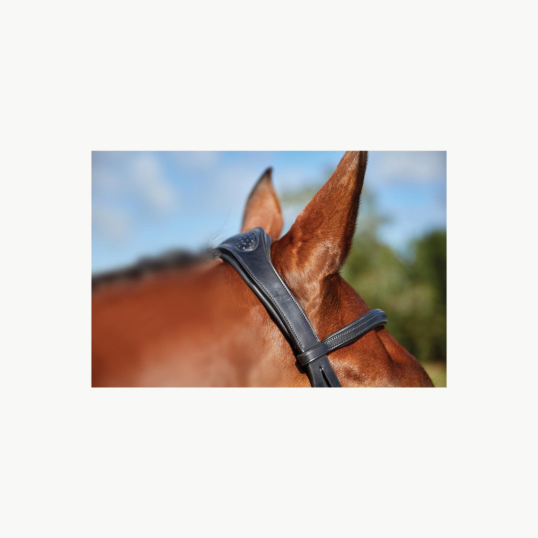 Collegiate Comfitec Training Bridle - Corro