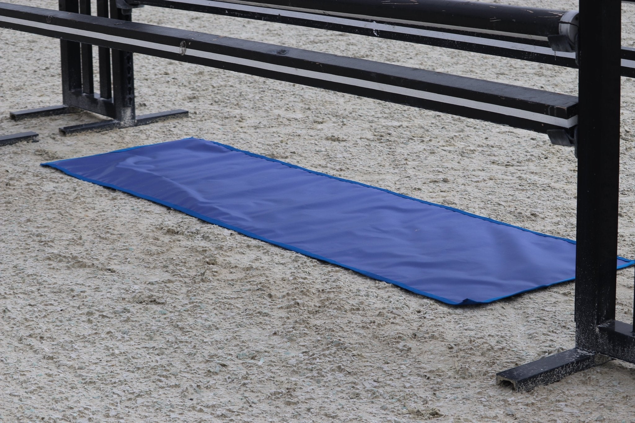 Dandy Products Schooling Tarp - Corro