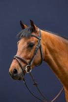 Dy'on Flash Noseband Bridle - Working By Dy'on - Corro