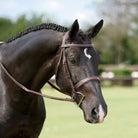 Dy'on Wide Noseband Hunter Bridle - Corro