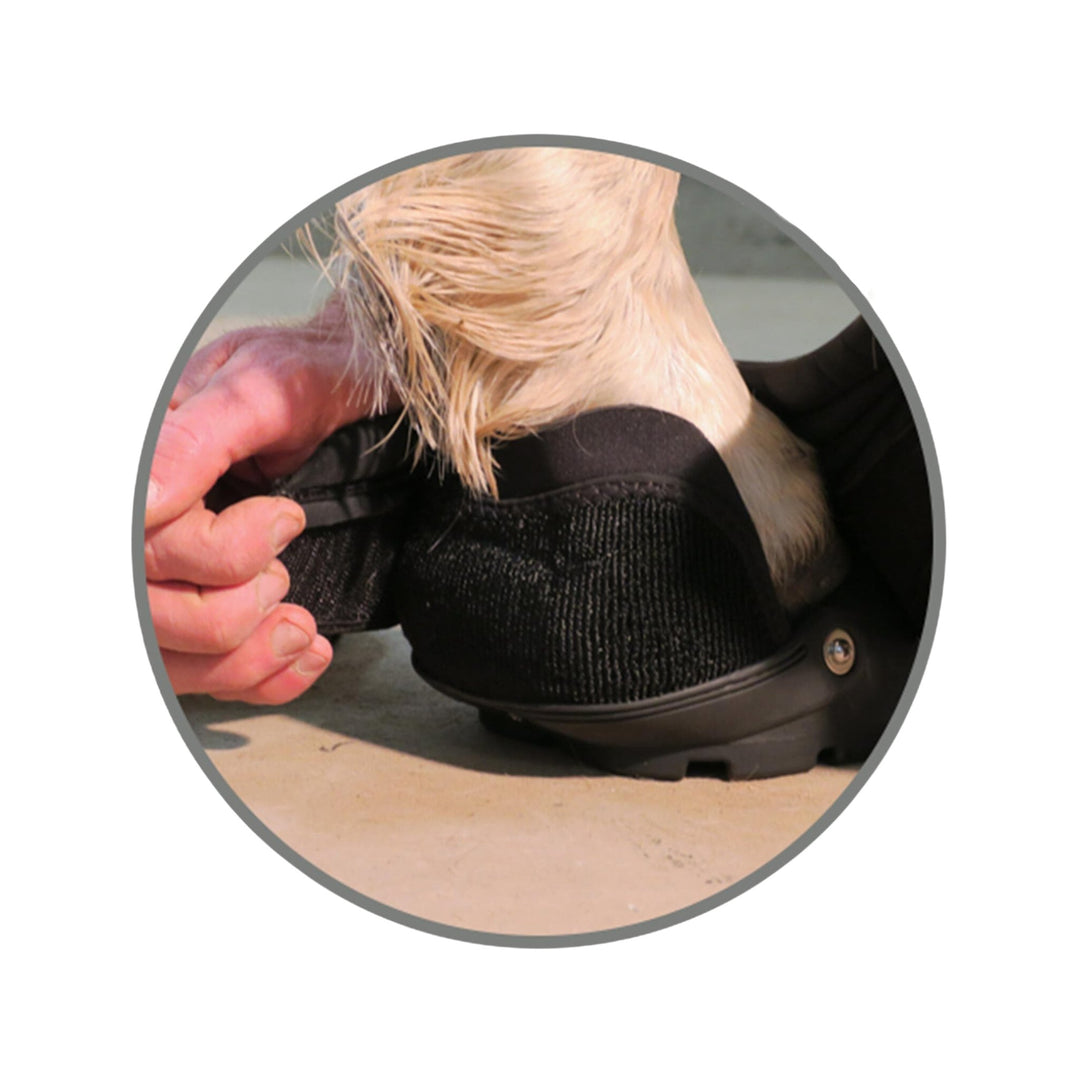 EasyCare Easyboot Back Country Hoof Boot, Single Boot - Corro