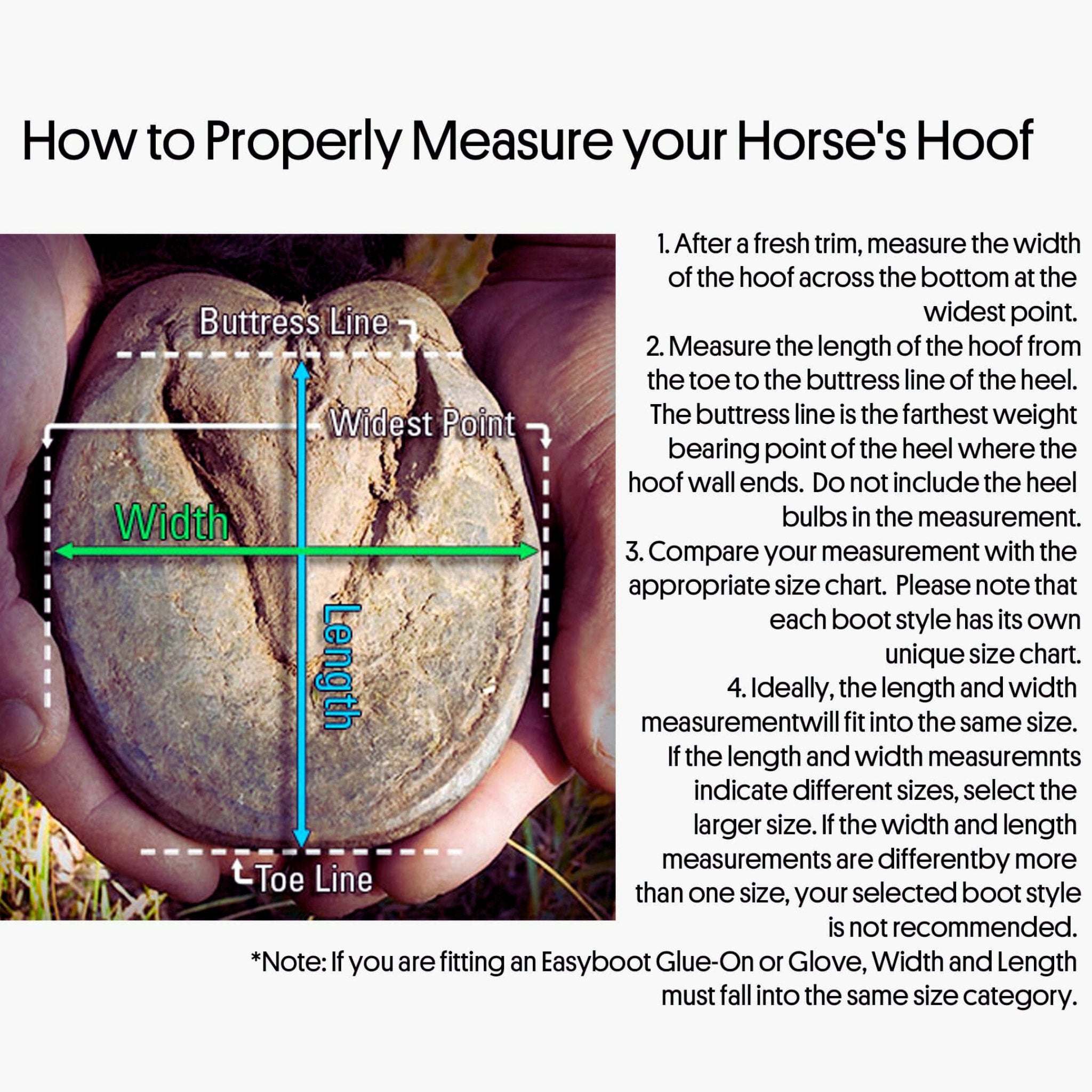 EasyCare Easyboot Epic Hoof Boot, Single Boot - Corro