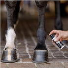 EquiFit AgSilver Daily Strength CleanSpray - Corro