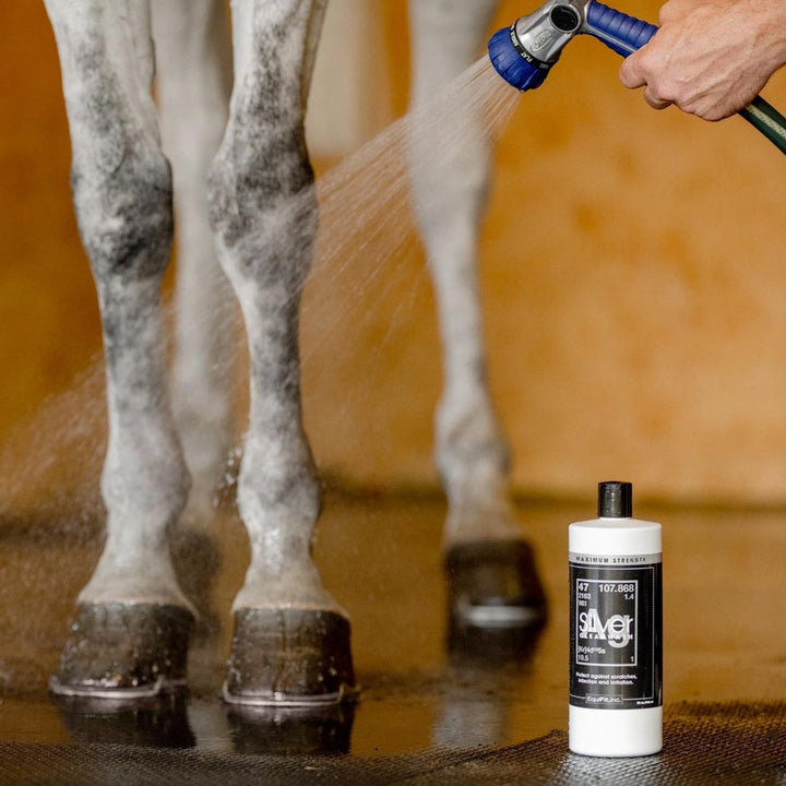 EquiFit AgSilver Maximum Strength CleanWash - Corro