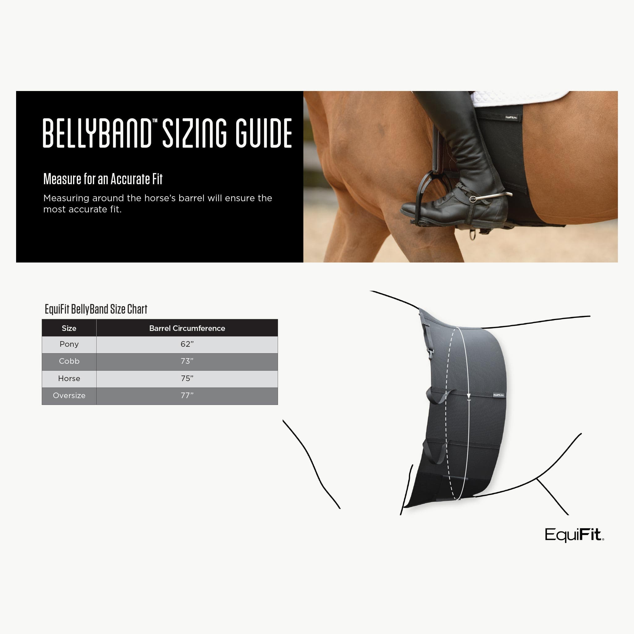 EquiFit Belly Band - Corro