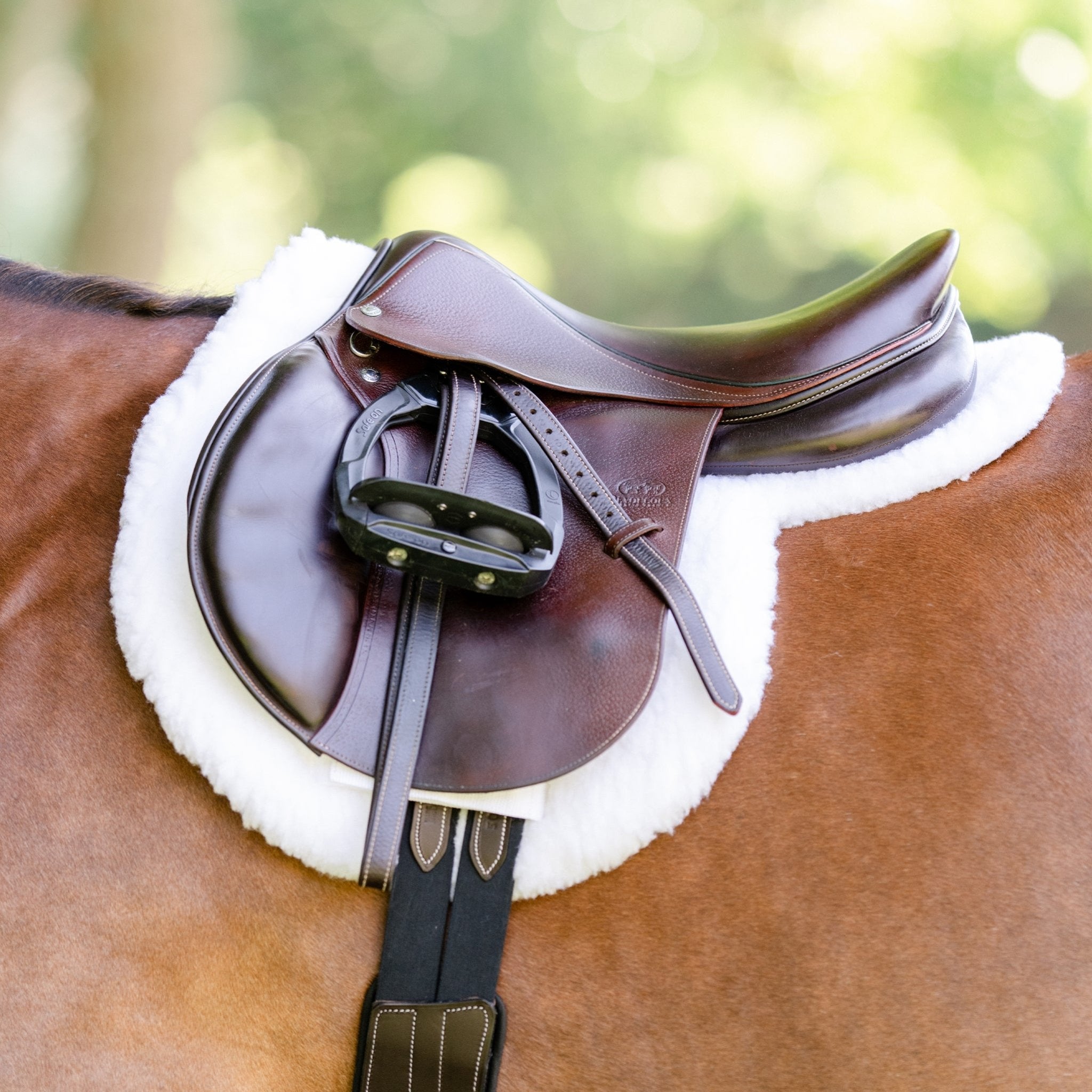 Equifit Essential Hunter Pad - Corro