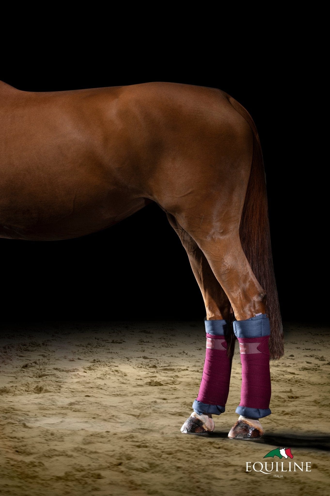 Equiline Cotton Quilted Leg Wraps (Set of 4) - Corro