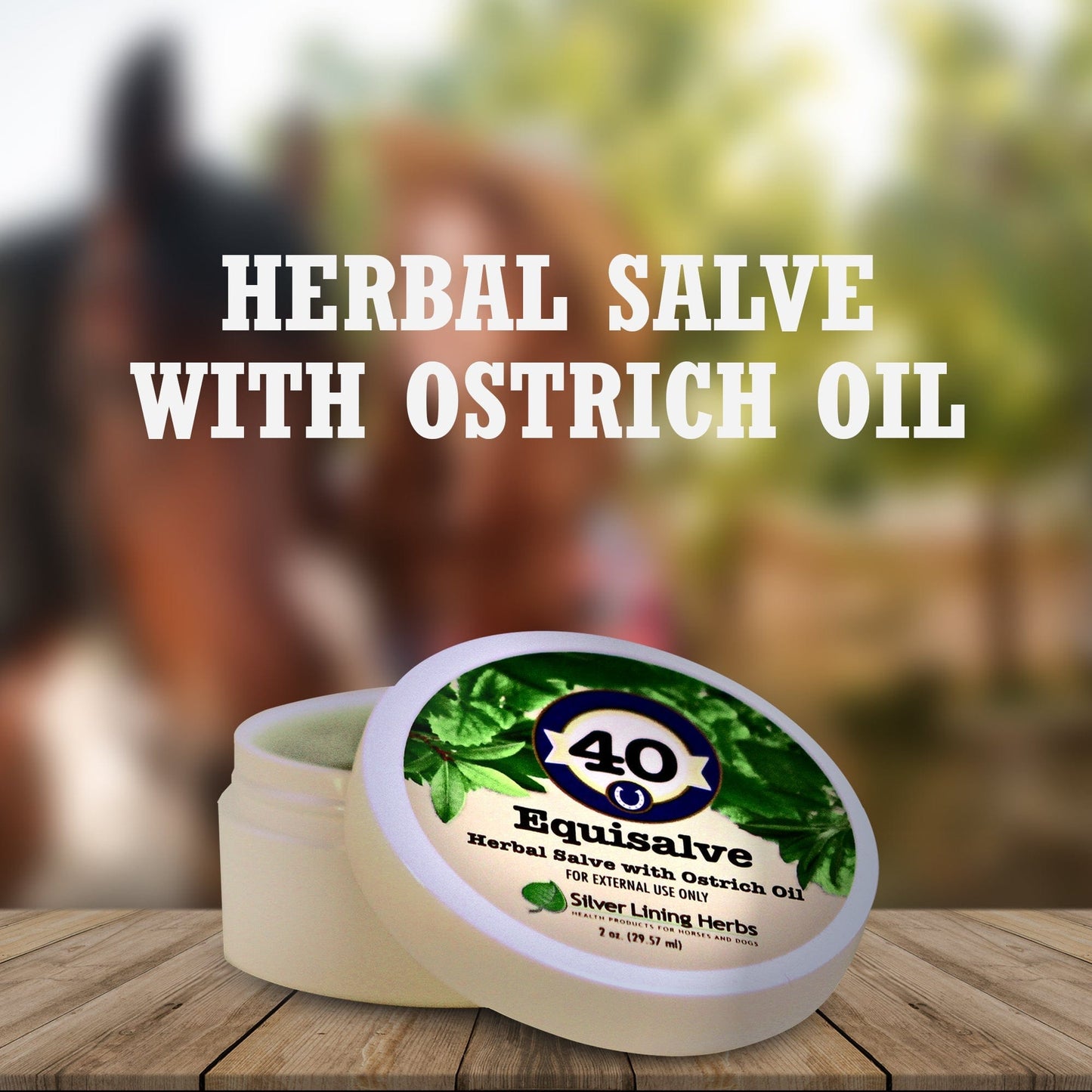 Silver Lining Herbs Equisalve For Horses
