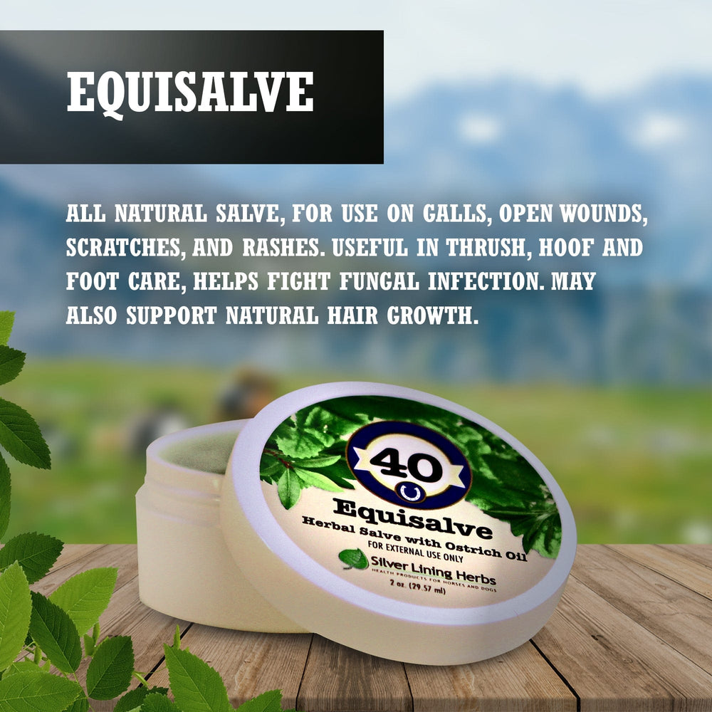 Silver Lining Herbs Equisalve For Horses