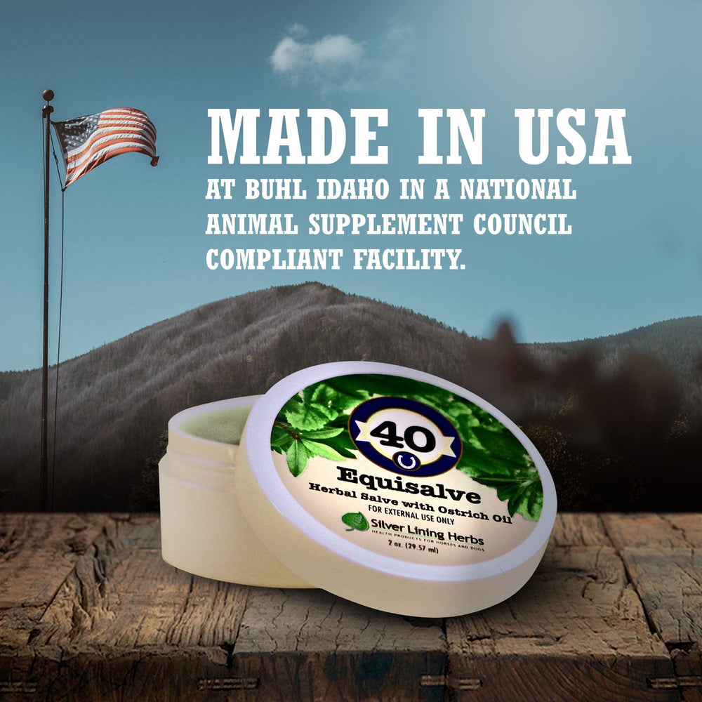 Silver Lining Herbs Equisalve For Horses