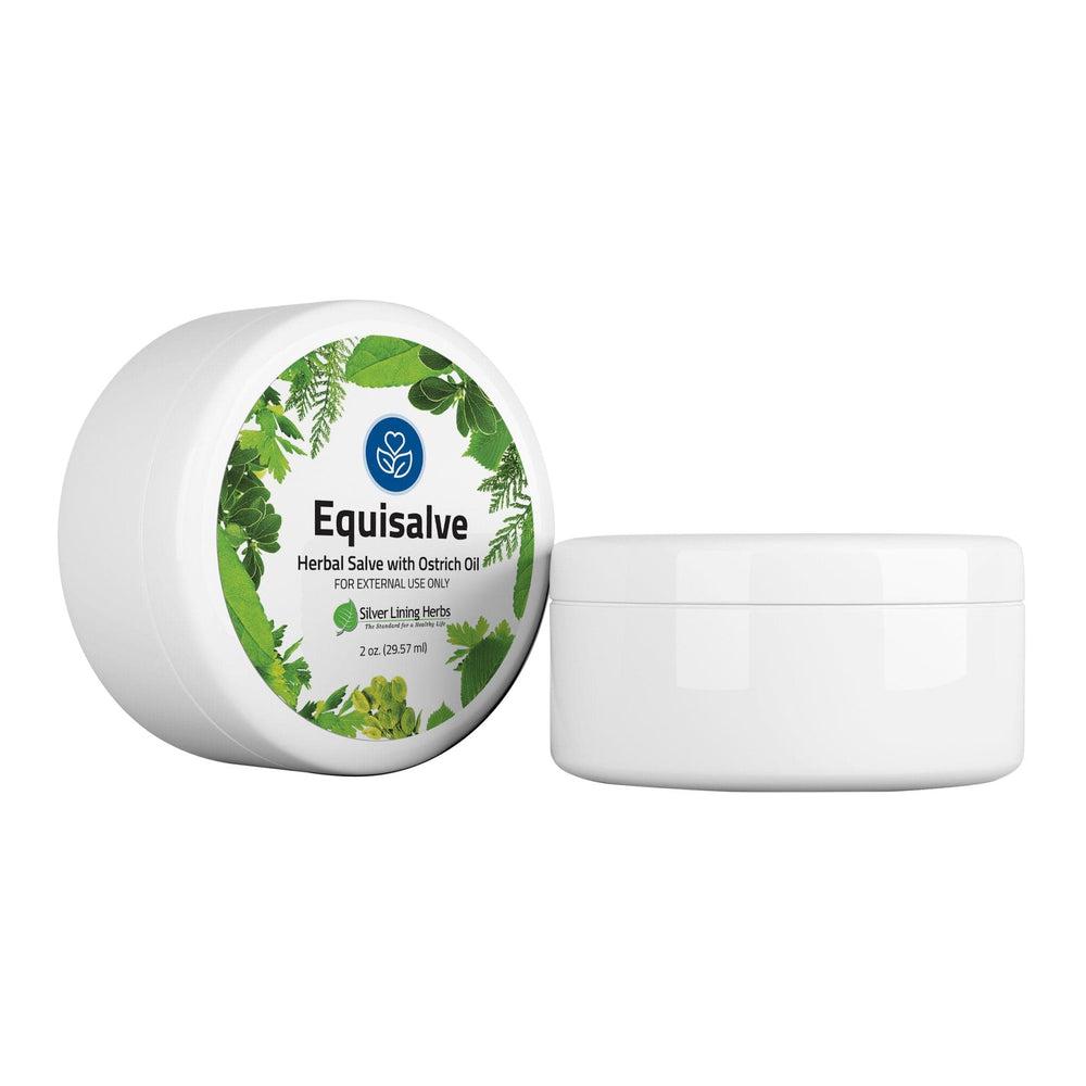 Silver Lining Herbs Equisalve For Horses