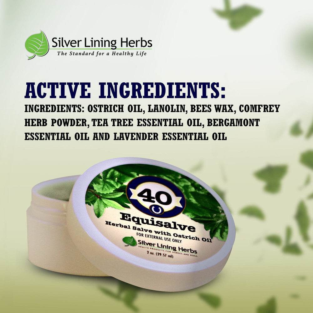 Silver Lining Herbs Equisalve For Horses