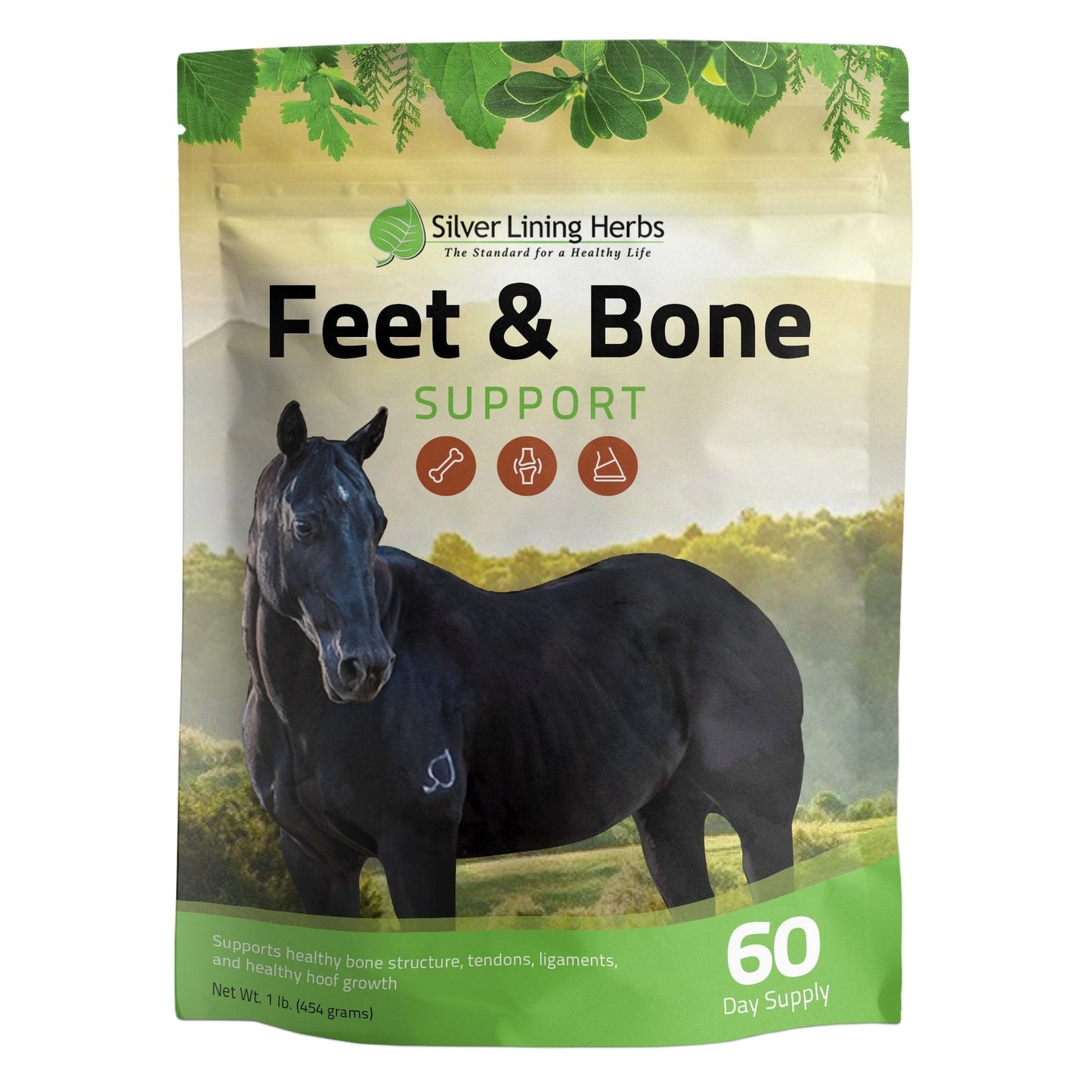 Silver Lining Herbs Feet & Bone Support for Horses