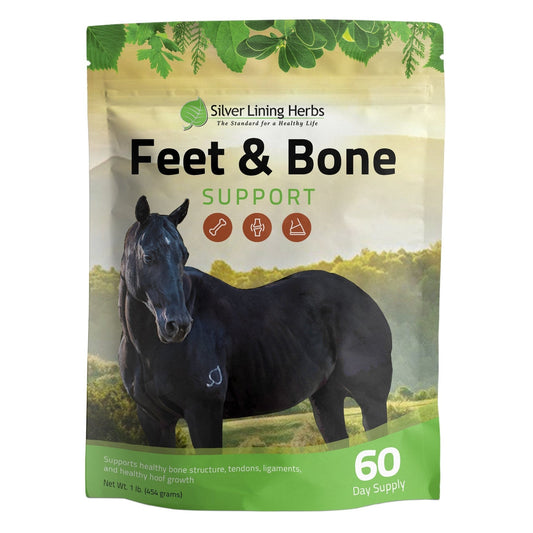 Silver Lining Herbs Feet & Bone Support for Horses