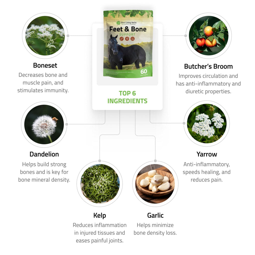 Silver Lining Herbs Feet & Bone Support for Horses