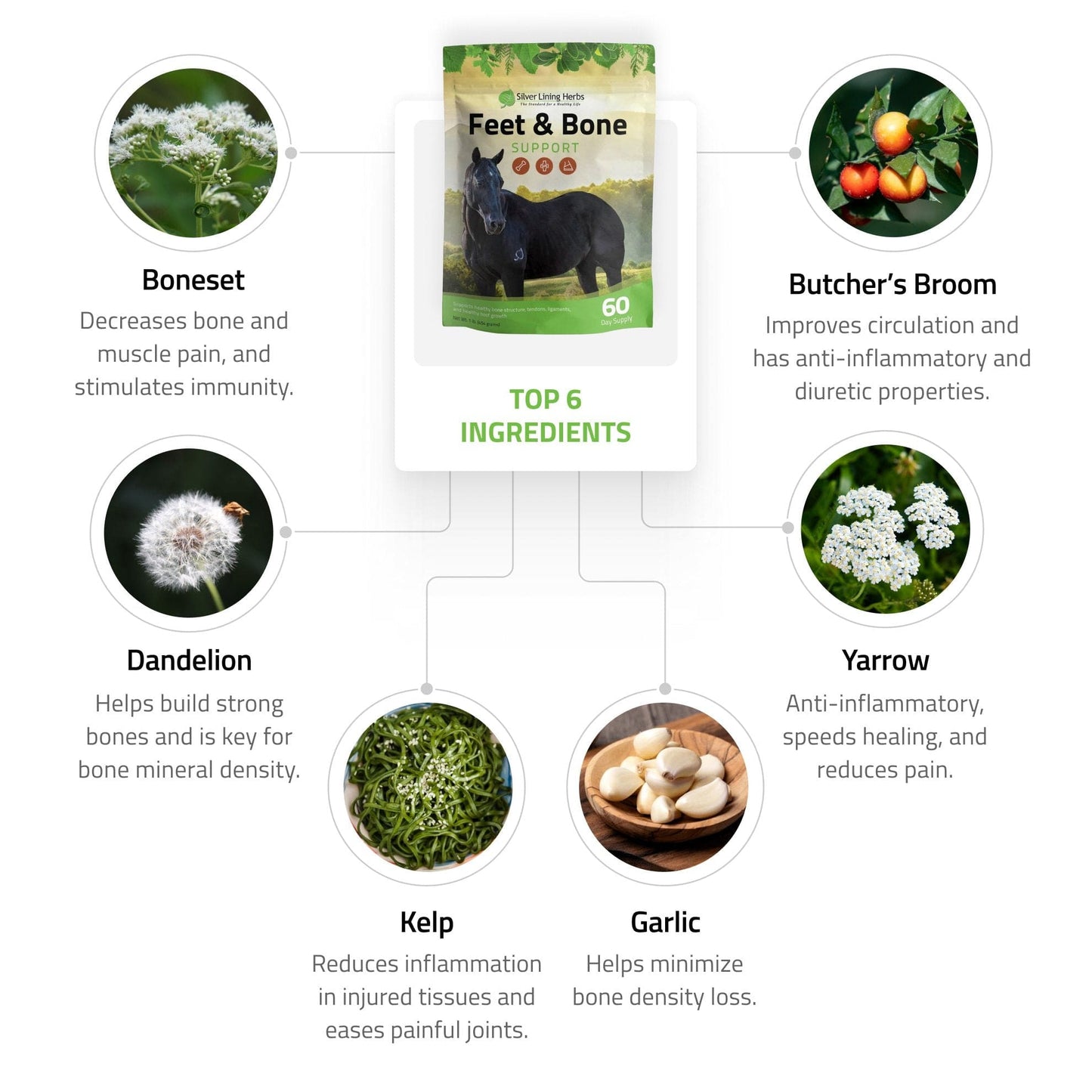 Silver Lining Herbs Feet & Bone Support for Horses