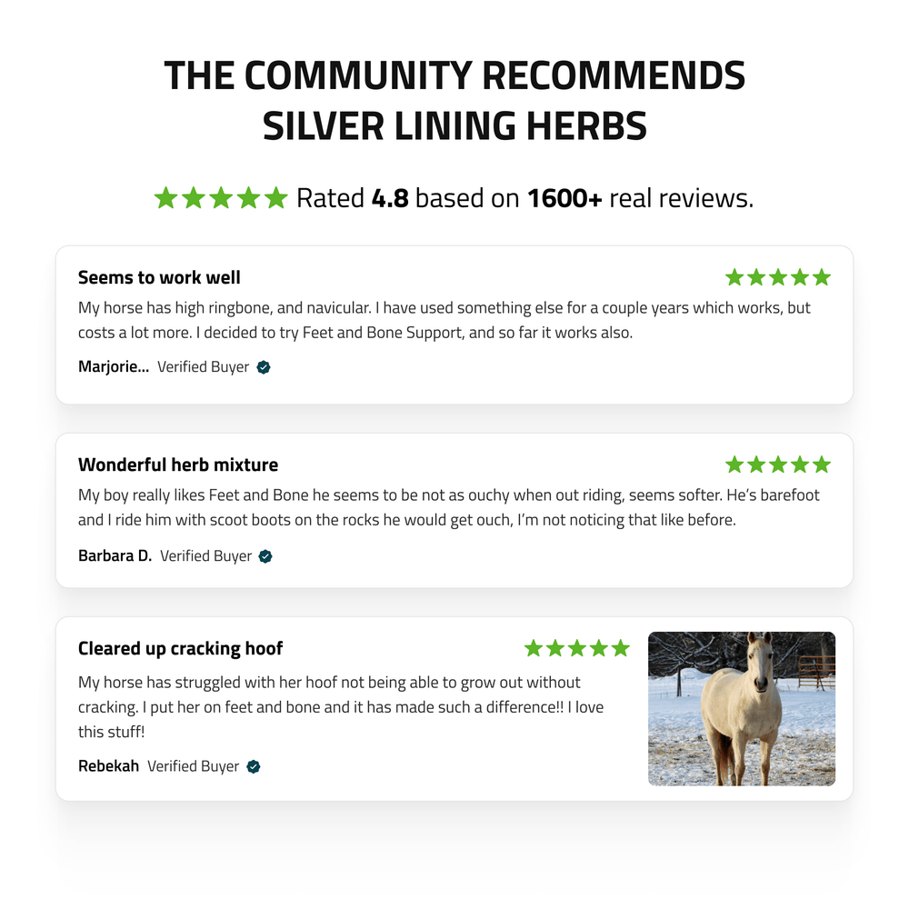 Silver Lining Herbs Feet & Bone Support for Horses