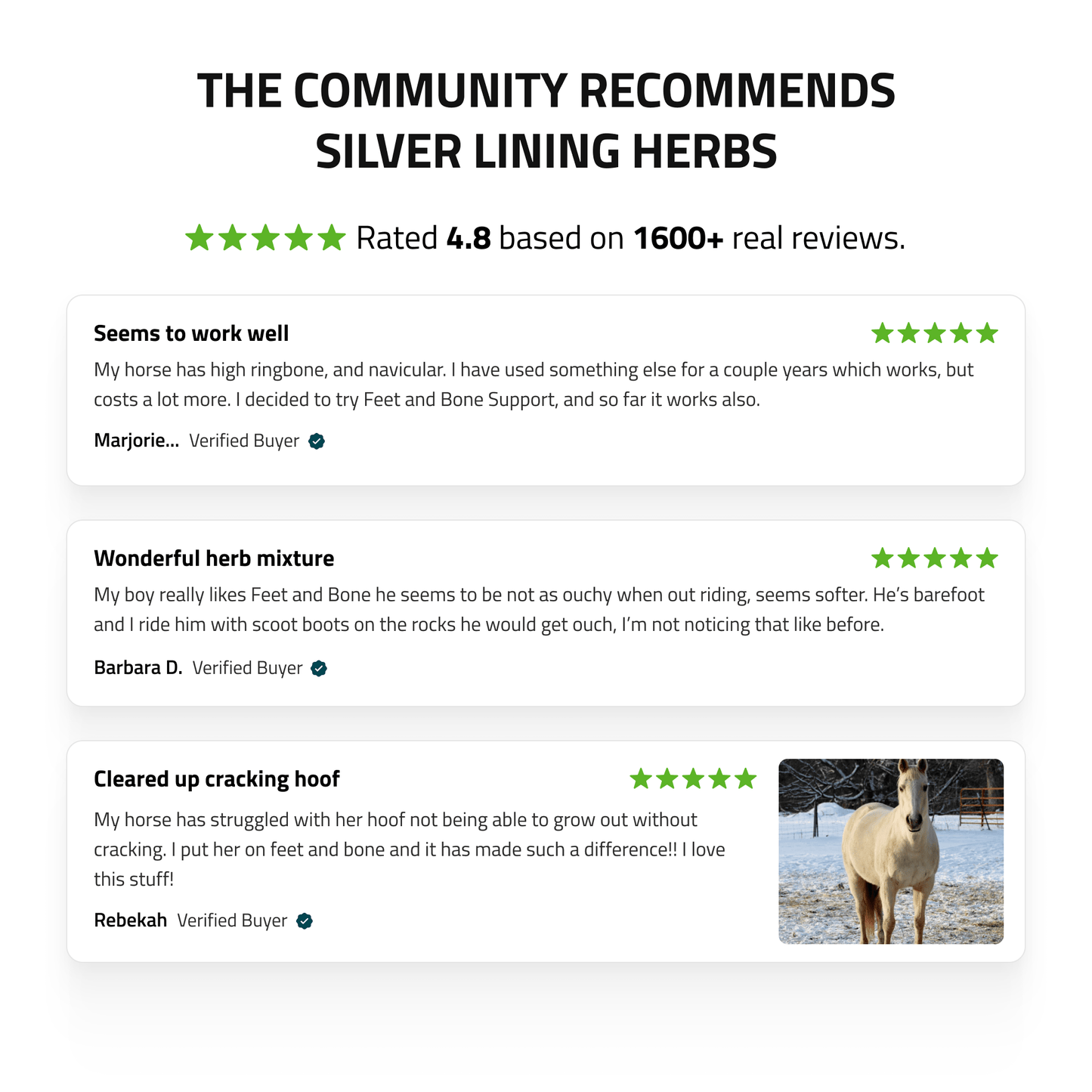 Silver Lining Herbs Feet & Bone Support for Horses