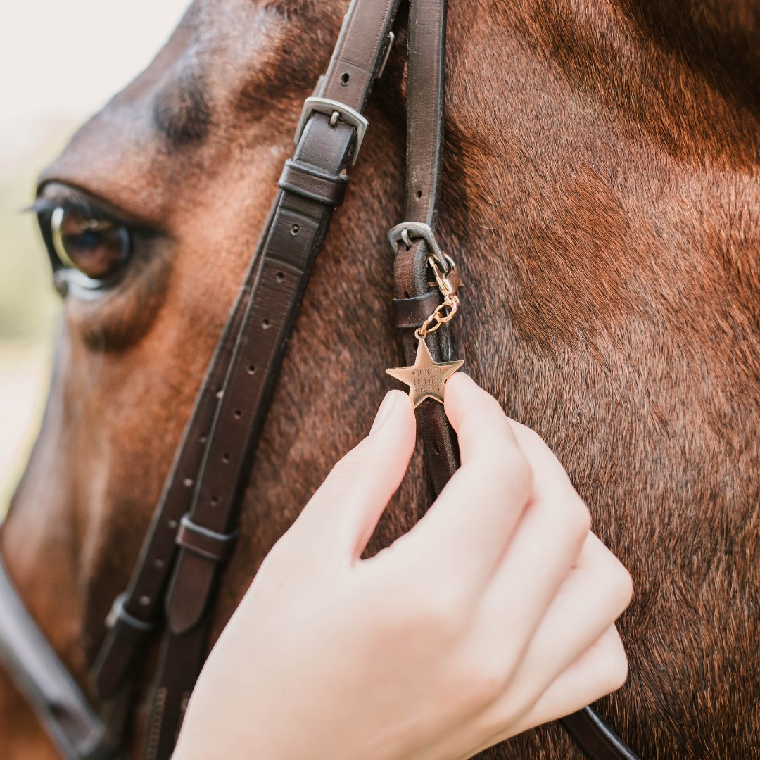 "Good Rides Only" Bridle Charm - Corro