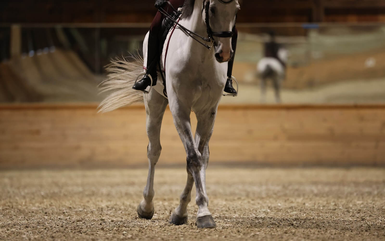 コアスリマー HMB Shop Equine Joint Supplements | Corro | Corro